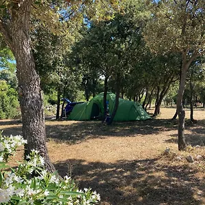 Kamp Sugar, Mandre